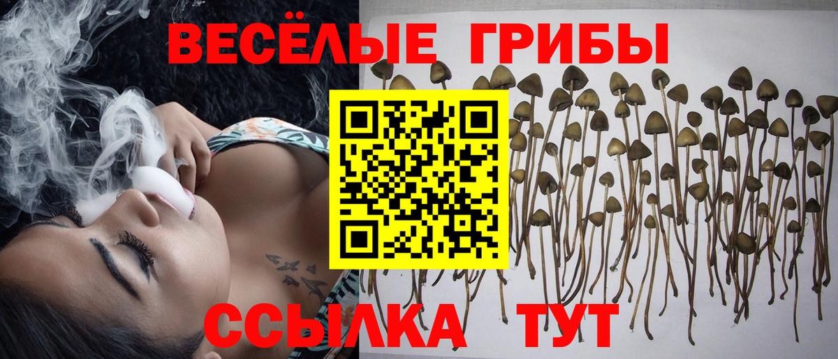 Псилоцибиновые грибы Magic Shrooms Нижнеудинск