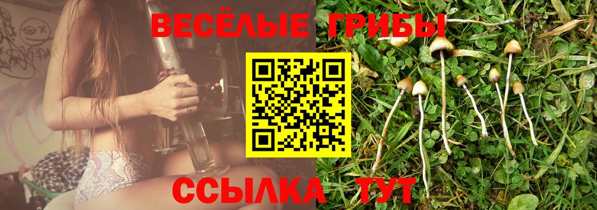 хочу   Псилоцибиновые грибы Cubensis  Вход с VPN  Нижнеудинск 